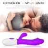 CR-simulation vibrator purple vibrator